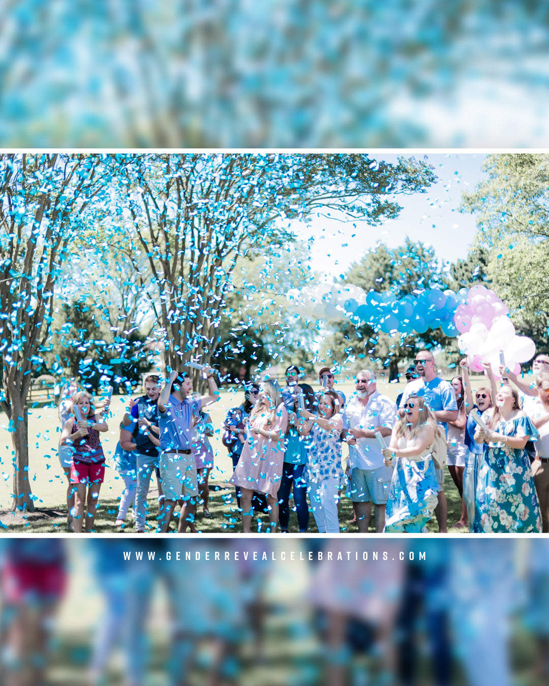 Outdoor Gender Reveal Party Ideas