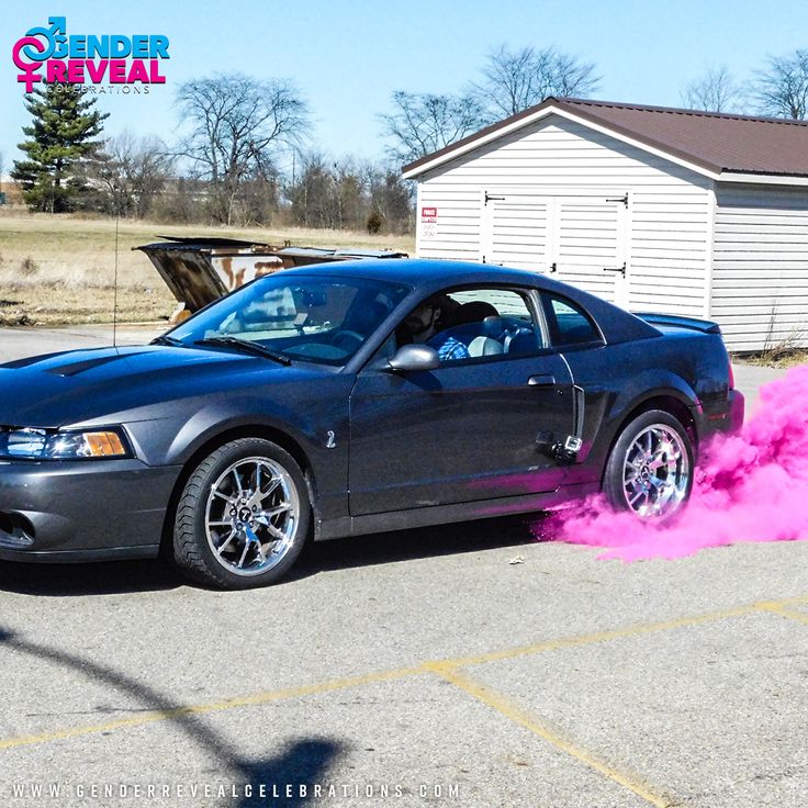 Gender Reveal Burnout Powder Kit