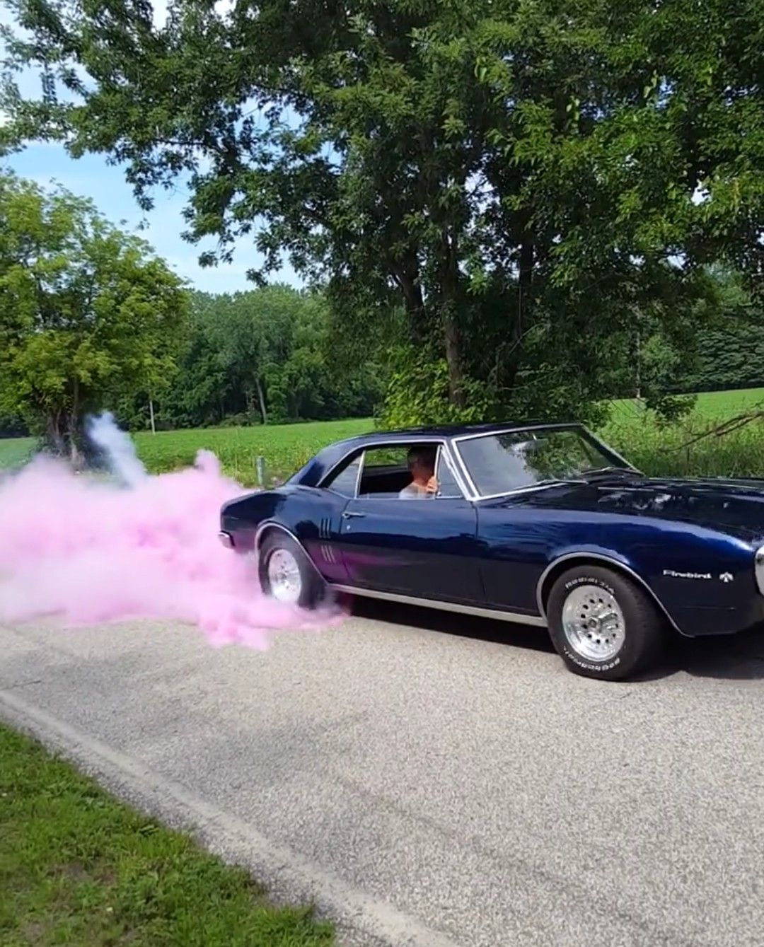 Gender Reveal Burnout Powder Kit