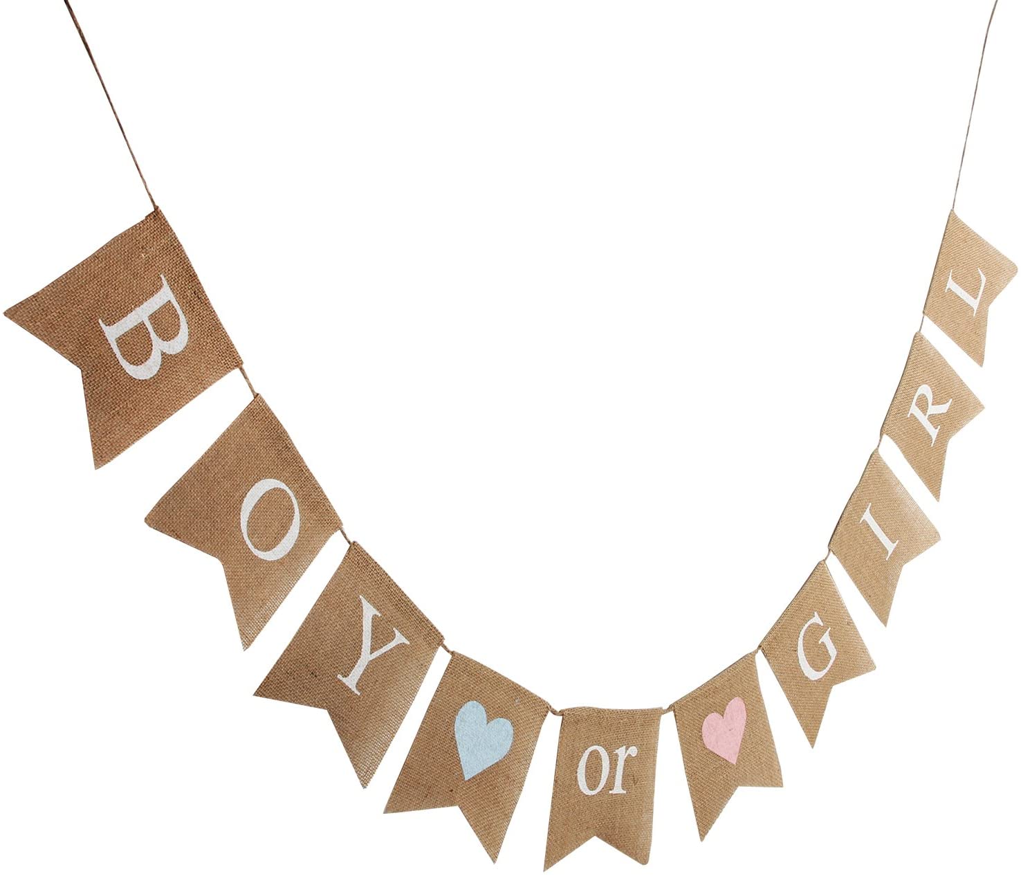 Boy or Girl Banner
