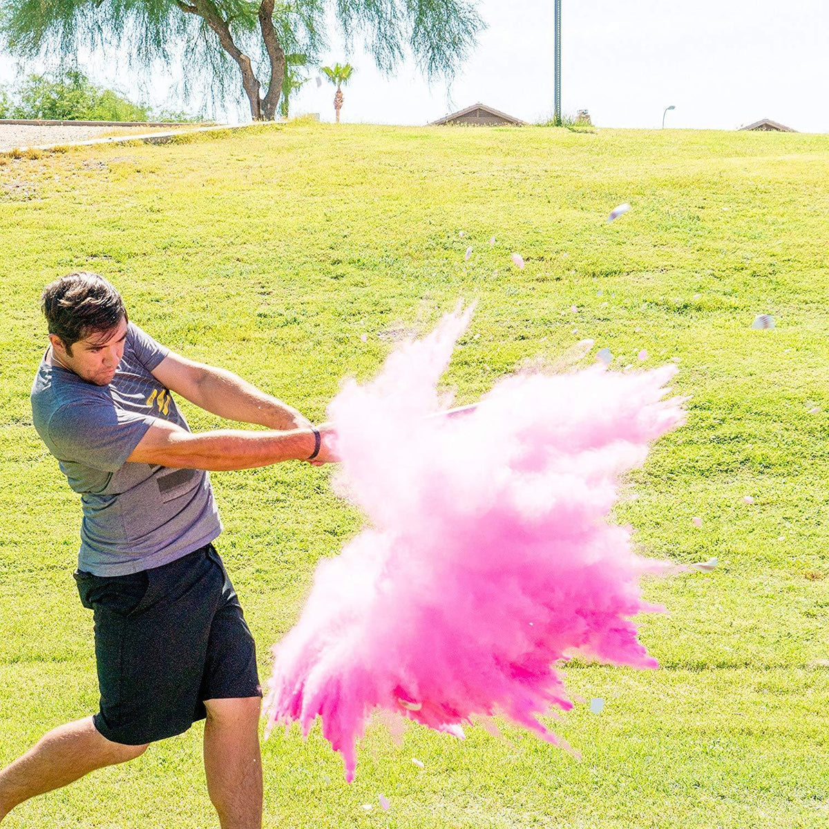 Gender Reveal Baseball