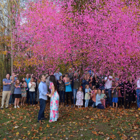 Gender Reveal Confetti Cannons