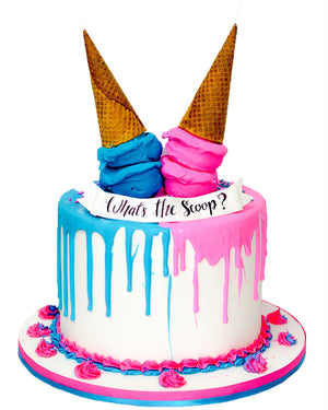 Do You Bring a Gift to a Gender Reveal Party? Gender Reveal Celebrations