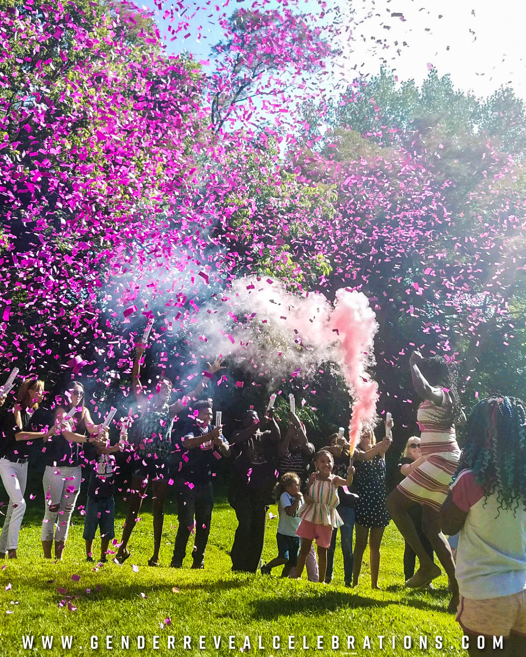 Gender Reveal Party Pack